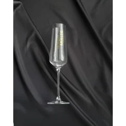 Personalisierte Hochzeitsgläser und Samtüberzug oder bemalte Champagnerflasche | Geschenk für Brautparty und Gäste