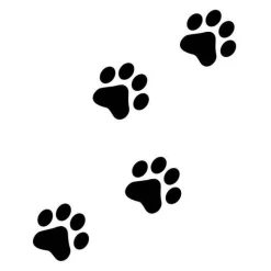 Personalisierte Schiefertafel mit Gravur – Gedenktafel aus schwarzem Naturschiefer, wetterfest & individuell