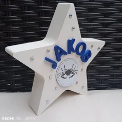 Personalisierter Stern, Glücksstern, Geschenk zur Geburt, Taufe, Geburtstag