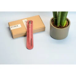 Personalisiertes Stiftetui aus Leder. Lederetui für einen Kugelschreiber mit Gravur. Leder Stifthülle mit Namen Gravur.G