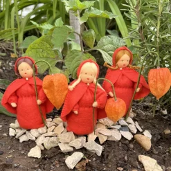 Physalis - Jahreszeitentisch - Blumenmädchen  - Herbst