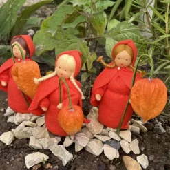 Physalis - Jahreszeitentisch - Blumenmädchen  - Herbst