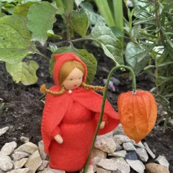 Physalis - Jahreszeitentisch - Blumenmädchen  - Herbst