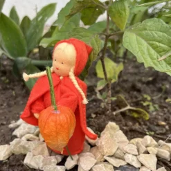 Physalis - Jahreszeitentisch - Blumenmädchen  - Herbst