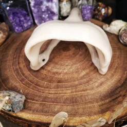 Rabenschädel Horror Halloweendekoration