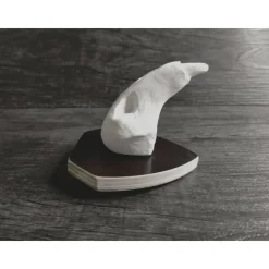 Ratte Rudis Schädel zum aufhängen