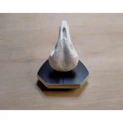 Ratte Rudis Schädel zum aufhängen