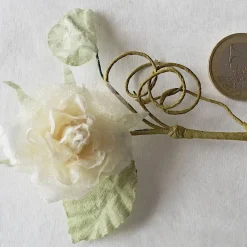 Rose, cremefarben als Deko auf einer Geschenkverpackung