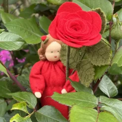 Rose rot -  Jahreszeitentisch - Blumenkind - Sommer