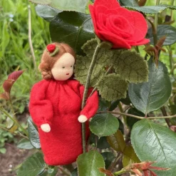 Rose rot -  Jahreszeitentisch - Blumenkind - Sommer