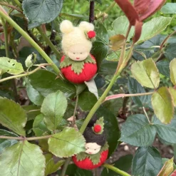 Rose rot Mini - Blumenkind - Jahreszeitentisch - Sommer