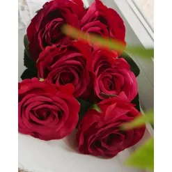 Rosen versch. Farben