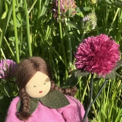 Rotklee/Wiesenklee-  Jahreszeitentisch - Blumenkind - Sommer