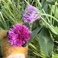 Rotklee/Wiesenklee Mini - Blumenkind - Jahreszeitentisch - Frühling