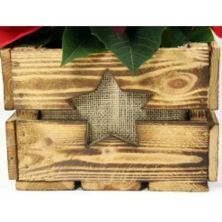 Rustikale Blumenkiste Weihnachtsgeschenk Vintage Holzkiste mit Stern Obstkiste für Blumen Geschenkkorb Blumentopf aus Holz Weihnachtsstern