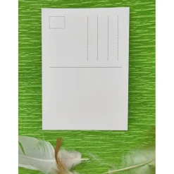 SALE -30% (Code: NEUEABENTEUER) | Lustige Osterpostkarte mit Huhn Huch, das war wohl zu viel!