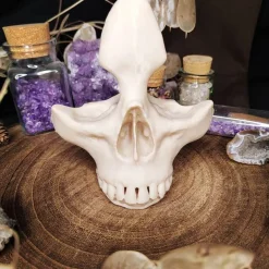 Schädel Brillenhalter Halloweendekoration