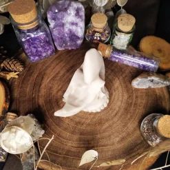 Schädel Brillenhalter Halloweendekoration