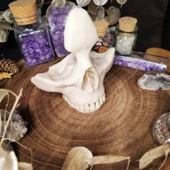 Schädel Brillenhalter Halloweendekoration