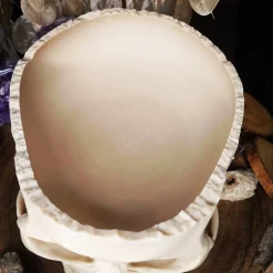 Schädel Schale Horror Anatomie Halloweendekoration Bonbonschale