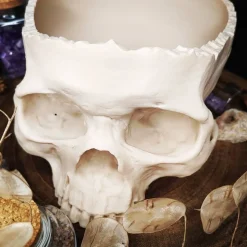 Schädel Schale Horror Anatomie Halloweendekoration Bonbonschale
