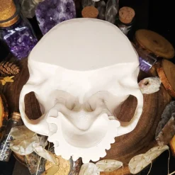 Schädel Schale Horror Anatomie Halloweendekoration Bonbonschale