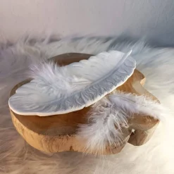 Schmuckschale, Raysin Federschale, Deko Schale, Feder, Federschale, Große Feder, Raysin Feder, Schlüsselablage