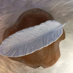 Schmuckschale, Raysin Federschale, Deko Schale, Feder, Federschale, Große Feder, Raysin Feder, Schlüsselablage