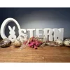 Schriftzug Oster, Osterhase im Ei, Osterdeko