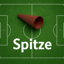 Schultüte Schmetterling mit deinem inkl. Name, perfekt für deine Einschulung