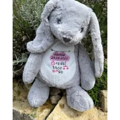 Sehr schöner bestickter Hase Geburtsdaten, Namen, Spruch, Motivation, Geschenk Bunny