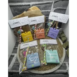 Sommer in der Tüte | mini Kühlakku | Mitbringsel | Gastgeschenk