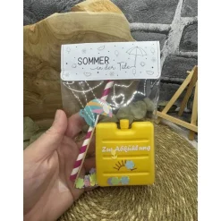 Sommer in der Tüte | mini Kühlakku | Mitbringsel | Gastgeschenk