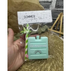 Sommer in der Tüte | mini Kühlakku | Mitbringsel | Gastgeschenk