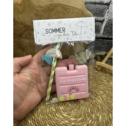 Sommer in der Tüte | mini Kühlakku | Mitbringsel | Gastgeschenk