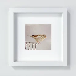 Spatz Kunstdruck, kleiner Vogel, Vogel-Liebhaber-Geschenk, Tier, Kinderzimmerdekor Wand Dekoration, 13x13 cm, 20x20 cm