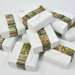 SQUARE BOX - WEISS MIT BAND IN GRÜN