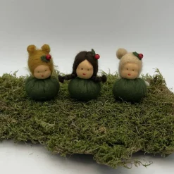 Stechpalme Mini - Blumenkind - Jahreszeitentisch - Winter