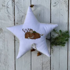 Stern - Winterzauber