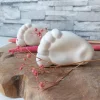 Sternenkinder Geschenke, Babyfuss, Raysin Baby, Fuß Abdruck, Sternenkinder Erinnerung, Sternenkinder Andenken, Geschenk