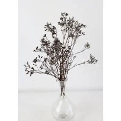 Sträußchen Trockenblumen Strandflieder