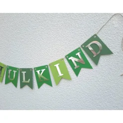 Supercoole Girlande zum Schulanfang auf Wunsch personalisiert Schulkind Dekoration in Grün und Silber