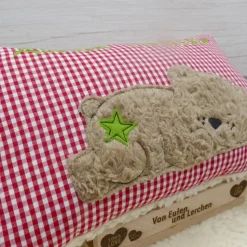 Teddykissen Bär Namenskissen Taufkissen Kuschelkissen Kindergartenkissen