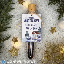 Tee Reagenzgläser weihnachtlich, personalisierte Geschenke, Früchtetee im Reagenzglas