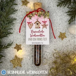 Tee Reagenzgläser weihnachtlich, personalisierte Geschenke, Früchtetee im Reagenzglas