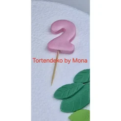 Tortenaufleger Fondant Geburtstag Tortendeko Koalabär  Koala