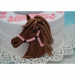 Tortenaufleger Fondant Geburtstag Tortendeko Pferde Set Horseclub