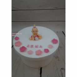 Tortenaufleger Fondant Zuckerfigur  Tortendeko Tortendekorationen Baby Zwillinge Babyshowerparty Geburt
