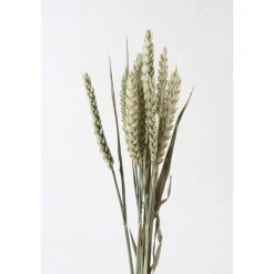 Trockenblumen: 10 Stiele Weizen getrocknet, naturfarben, ca. 40 cm