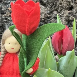 Tulpe - Jahreszeitentisch  - Blumenkinder - Frühling